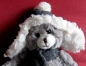 Teddy bear with cap and scarf