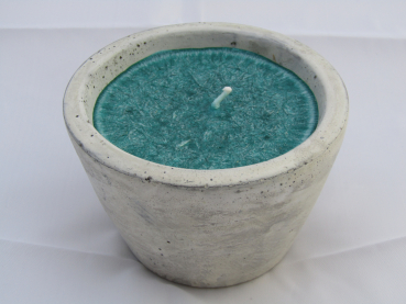 Scented candle - winter forest - green